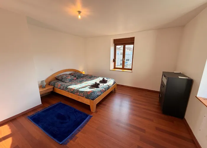 Air Hockey And Garden * Socourt